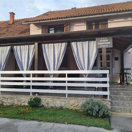 Studio Apartman Grguric Karlovac Exterior foto